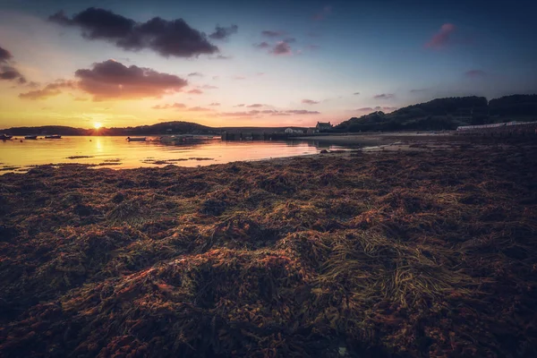 从Tresco海滩看英国Cornwall Scilly岛 — 图库照片