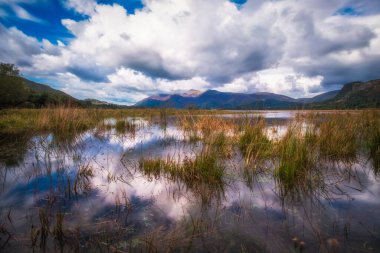 Derwent water cumbria England İngiltere göl bölgesi