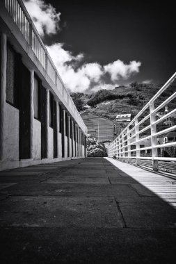 İsrail 'in en ünlü şehir simgesinin siyah beyaz fotoğrafı.