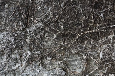 Roseland, Cornwall, İngiltere, İngiltere 'de.