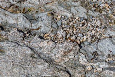 Roseland, Cornwall, İngiltere, İngiltere 'de.