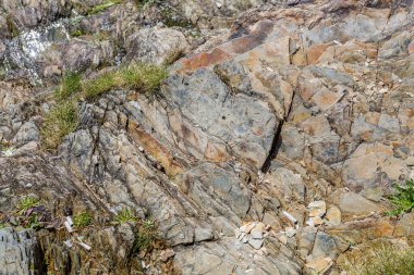 Roseland, Cornwall, İngiltere, İngiltere 'de.