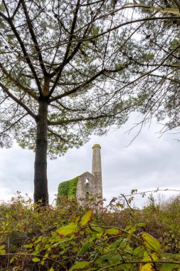 Pastalar ve bira madeni Wheal Cornwall İngiltere 'yi mahvediyor. 