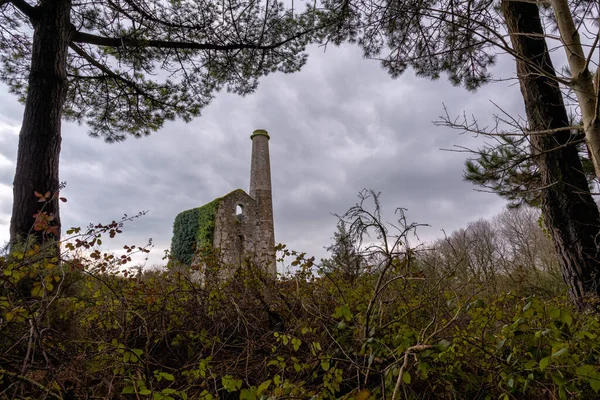 Κέικ Και Μπύρα Ορυχείο Κασσίτερου Καταστρέψει Wheal Cornwall Αγγλία Ηνωμένο — Φωτογραφία Αρχείου