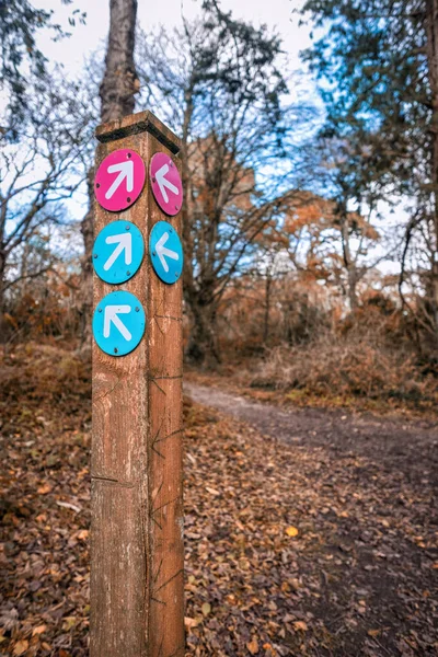 Arrows on signs in the wood cornwall uk
