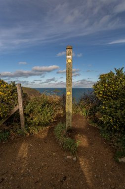 Doğanın güzel manzarası