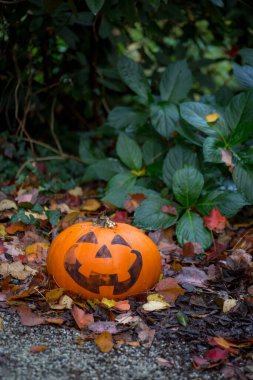 Korkunç Cadılar Bayramı Balkabağı Yaklaş