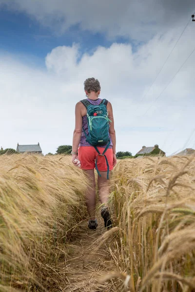 Lady walking through a barley corn field cornwall england uk