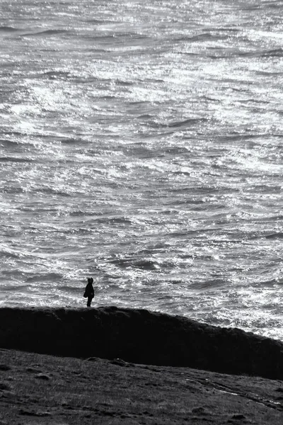 Dramatic Black White Shot Person Standing Seashore — Stock Photo, Image