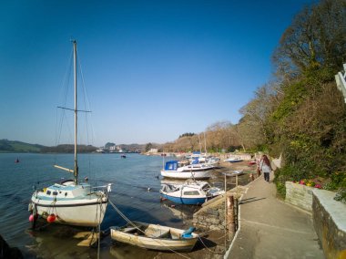 Truro Katedrali Cornwall İngiltere 