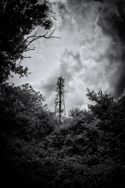 dramatic black and white shot of telephone tower