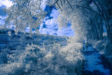 Kızıl ötesi görünümlü güzel bir manzara.