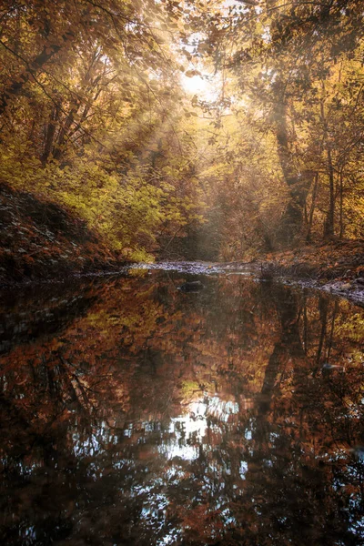 Schöne Herbstlandschaft Mit Bäumen Und Teich — Stockfoto