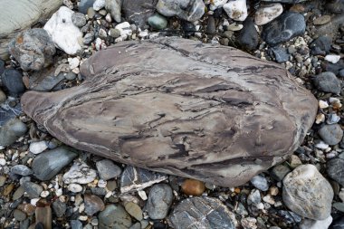  Sahildeki bir taşın yakın plan çekimi. 