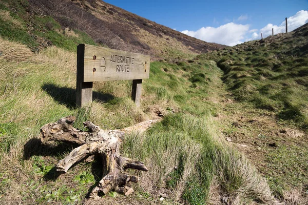 Señal Ruta Alternativa Madera — Foto de Stock