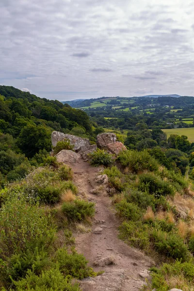 Bosque Alrededor Castle Drogo Devon England — Foto de Stock