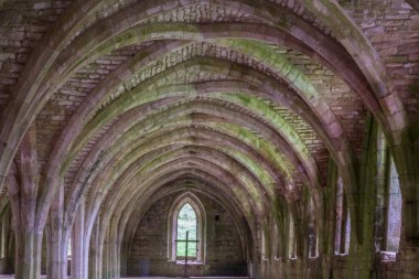 Abbey, İngiltere eski harabeler.