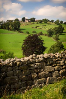 Yorkshire, İngiltere 'deki yeşil tepelerdeki kuru taş çitler. 