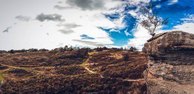 Güzel manzara, doğa arka planı.