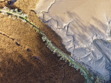 Bataklık çamuru ve sazlıklar üzerinde İngiltere 'nin Tresillian Nehri' nin Cornwall 'una bakın. Hava aracı görüntüsü