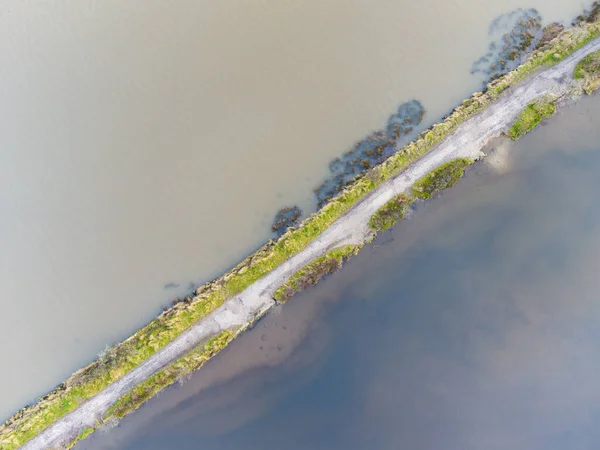 Flygfoto Över Floden Skogen — Stockfoto