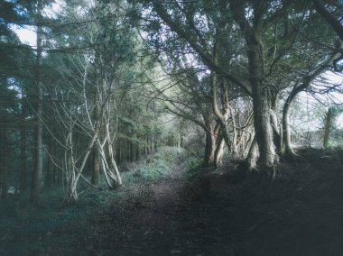 İngiltere 'nin Pentewan Cornwall yakınlarındaki krallar.