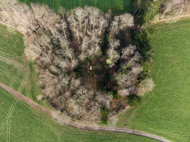 Ladock ahşap drone hava görüntüsü