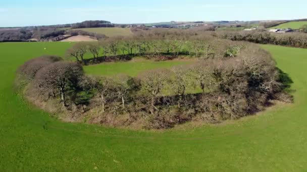 Zdjęcia lotnicze dronów Penventinnie wokół fortu Iron Age w pobliżu Truro Cornwall Anglia uk — Wideo stockowe