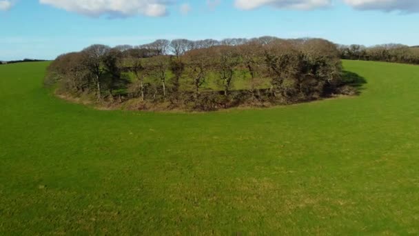 Imagens aéreas drone de Penventinnie redondo Iron Age fort perto de truro cornwall inglaterra uk — Vídeo de Stock