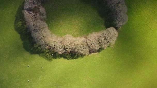 Imagens aéreas drone de Penventinnie redondo Iron Age fort perto de truro cornwall inglaterra uk — Vídeo de Stock