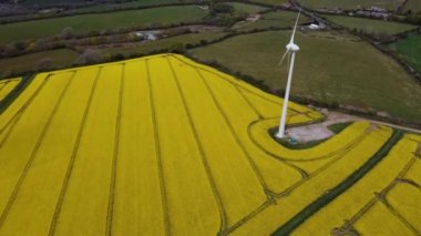 Rüzgâr türbini mısır tarlası ve hava aracıyla yağlı tohum tarlası. 