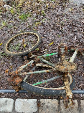 Stockholm, İsveç - 1 Ocak 2021 Gölden çekilen paslı ve terk edilmiş bisiklet