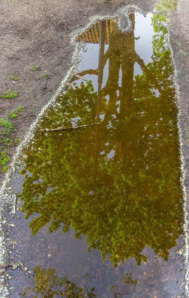 スウェーデン ヴァデステナ2021年5月23日 緑の葉が水溜まりに見える木の反射 — ストック写真