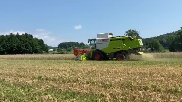 Domzale Słowenia Lipca 2021 Zbiory Żyta Mieszanką Środku Lata Słowenii — Wideo stockowe