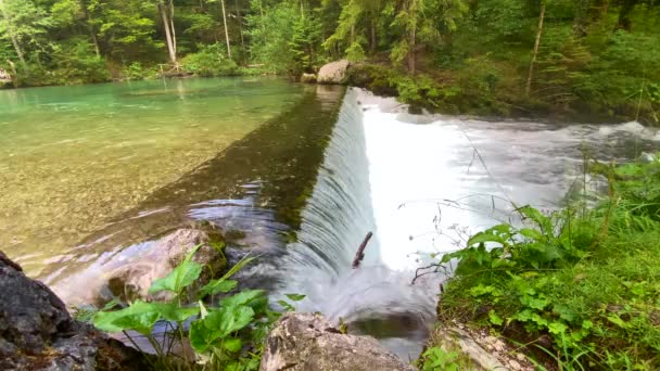 Μικρές Καταρράκτες Του Ποταμού Kamniska Bistrica Κάτω Από Τις Άλπεις — Αρχείο Βίντεο