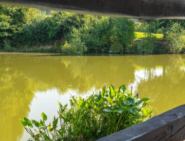 Bereketli yeşilliklerle çevrili sakin bir gölet, ahşap korkuluklardan izleniyor..