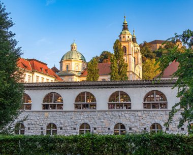 Ljubljana, Slovenya - 14 Ağustos 2025: Kilise kuleleri ve eski binaları olan Ljubljana ve Plecniks pazarının Avrupa tarihi manzarası.