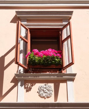 Bir saksı içinde canlı pembe çiçeklerle açık bir pencere..