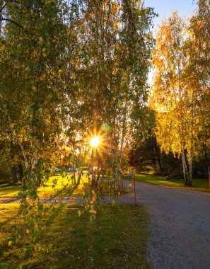 Parkta çakıl yolu olan bir parkta sonbahar ağaçlarının arasında gün batımı.