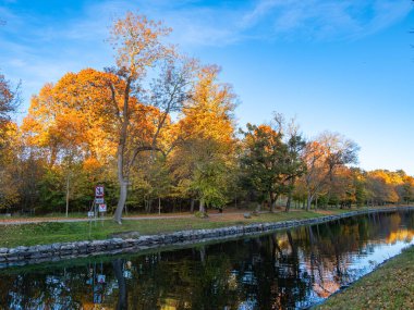 Sakin bir sonbahar manzarası Sakin bir nehre yansıyan renkli ağaçlarla.