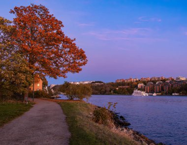 Stockholm, İsveç - 18 Ekim 2025: Sonbahar ağaçları ve günbatımında uzak binaların olduğu manzaralı nehir kenarı yolu.