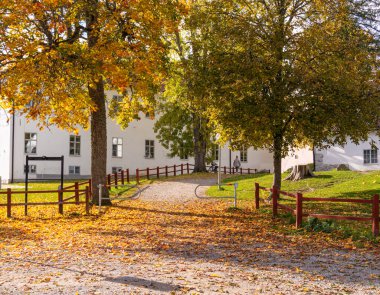 Ağaçlarla, düşen yapraklarla ve beyaz bir binayla sonbahar sahnesi..