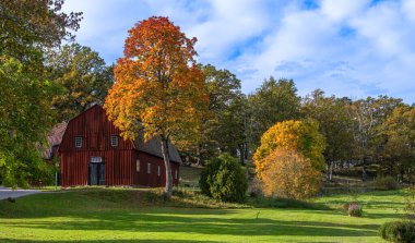 Kırsal alanda canlı sonbahar ağaçlarıyla çevrili kırsal bir kırmızı ahır..