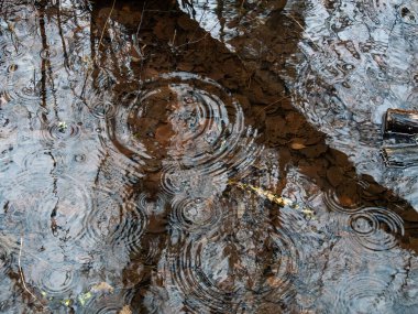 Yağmur damlaları çamurlu su yüzeyinde yansımalar yaratır..