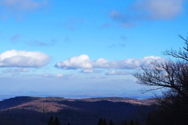 Gri sonbahar dağlarının panoramik manzarası sonbahar günü mavi gökyüzünün altında düşen yapraklarla kaplıdır.