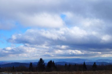 Gri sonbahar dağlarının panoramik manzarası sonbahar günü mavi gökyüzünün altında düşen yapraklarla kaplıdır.