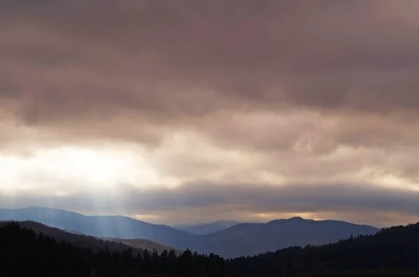 Vista Panorâmica Montanhas Cinzentas Outono Cobertas Floresta Com Folhas Caídas — Fotografia de Stock