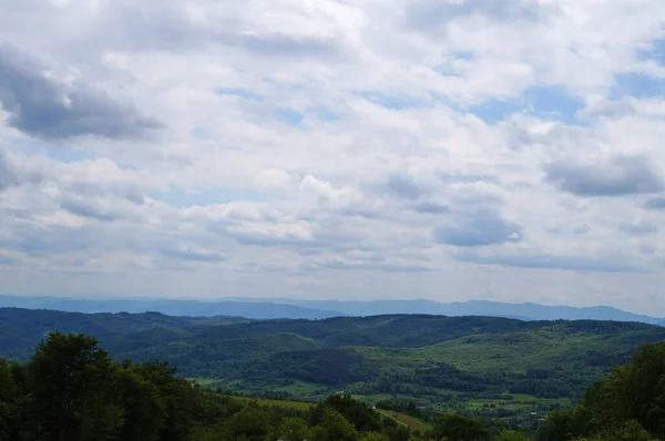 Vista Panorámica Las Montañas Cubiertas Hierba Verde Bosque Coníferas Bajo — Foto de Stock