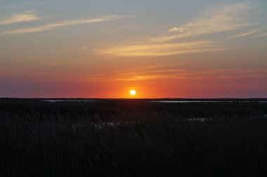 Sıcak bir yaz gününde uzun otlarla çevrili bir gölün üzerinde gün doğumu
