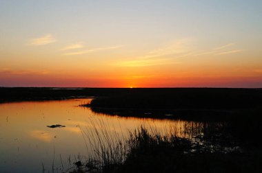 Sıcak bir yaz gününde uzun otlarla çevrili bir gölün üzerinde gün doğumu